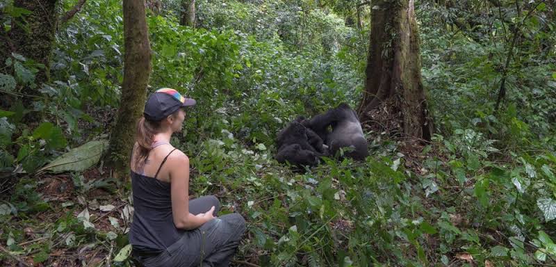 Hiking to see gorillas