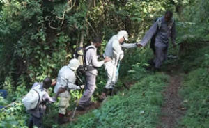 Hiring a porter for gorilla trekking