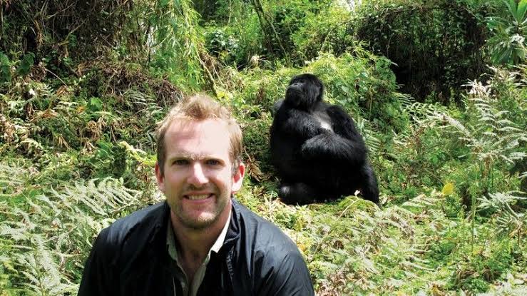 Tips for solo gorilla trekking