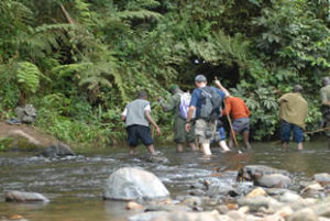 Best time to trek gorillas