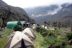 Wheere to sleep on Rwenzori Mountains