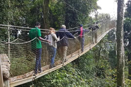 Nyungwe Forest National park