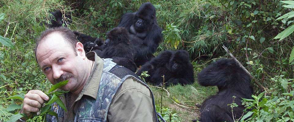 Gorilla Habituation experience