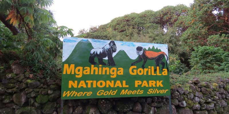 what to see and do in Mgahinga