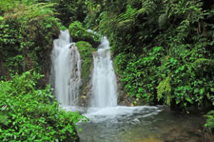 Addon activities to gorilla trekking in Bwindi