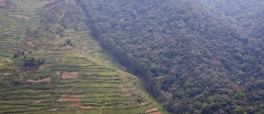 Gorilla Regions in Bwindi Forest National Park