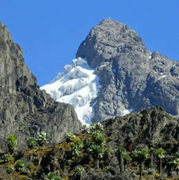 Mountain hiking in Uganda