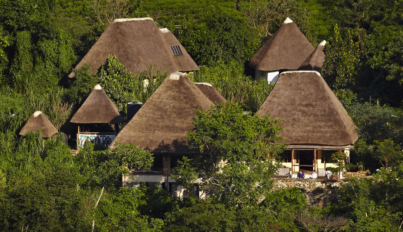 Gorilla Lodges in Bwindi Forest National Park