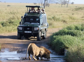 Game viewing in Rwanda