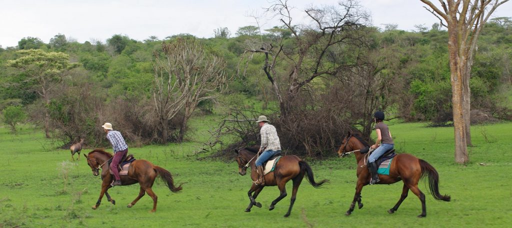 Activties in Lake Mburo National park