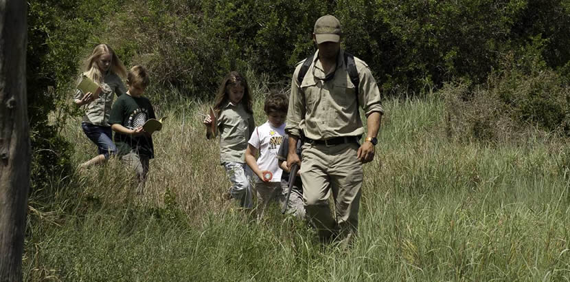 Activities For Children on a Gorilla Safari