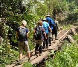 Nature walking in Kibale Forest