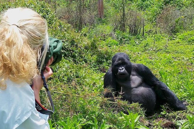 Eligiblity of gorilla trekking