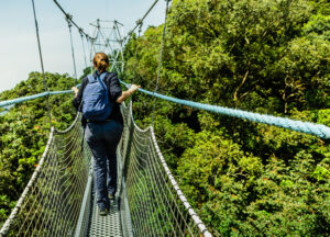 Entrance Fees to Nyungwe Forest