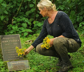 Dian Fossey hiking