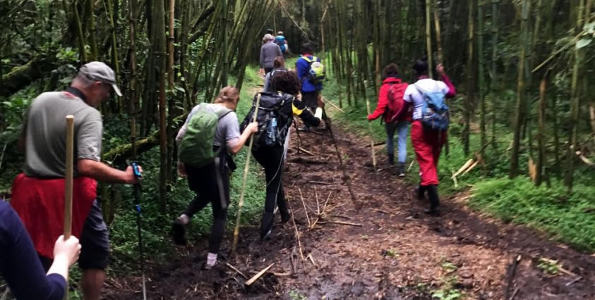 Walking trails in Mgahinga Gorilla National Park