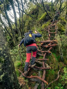 Walking trails in Mgahinga Forest