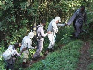 porters for gorilla trekking 