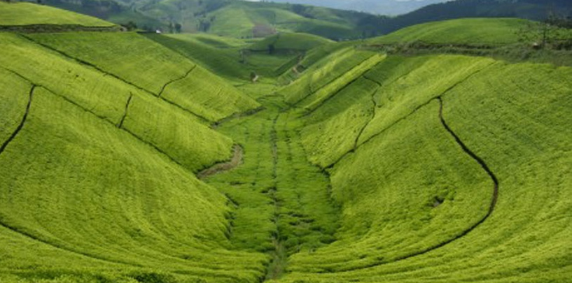 Rwanda rolling hills