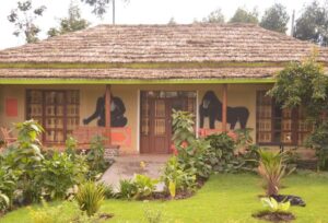 Lodges in Volcanoes Park
