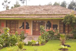 Lodges in Volcanoes Park