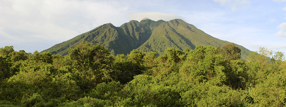 Volcano hiking in Mgahinga