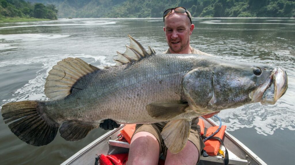 Top activities in Murchison Falls National Park