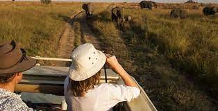 2025 Travel Tips for Solo Travelers to Uganda and Rwanda