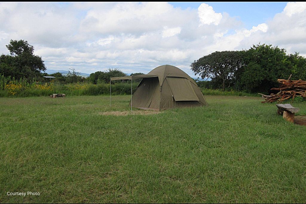 Activities in Akagera National Park