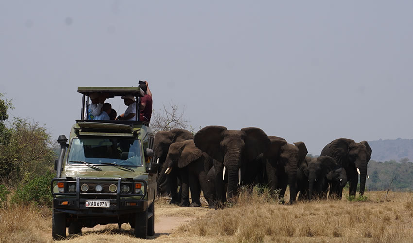 Game safaris in Akagera