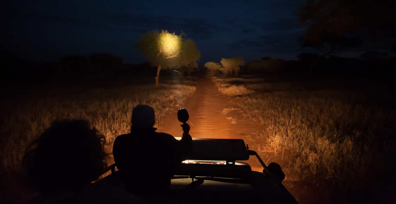 Night Game Drives in Uganda